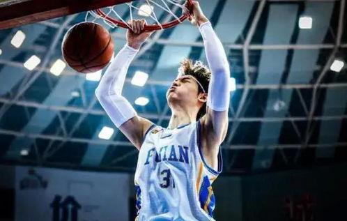 王哲林爆料视频最新,篮球生涯背后的心路历程与励志故事